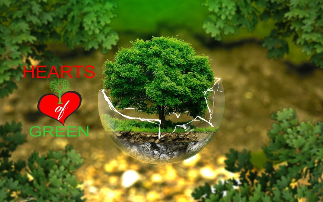 Logo Banner